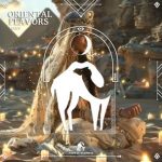Cafe De Anatolia, MAXV – Oriental Flavors