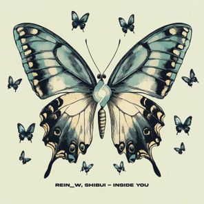 Rein_W, Shibui – Inside You