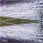 Merlyn Silva – Senescence
