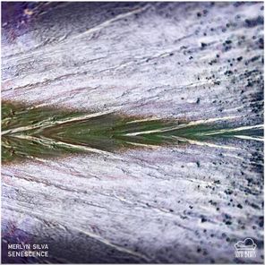 Merlyn Silva – Senescence