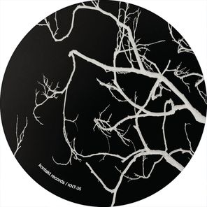 Vril, Metric System aka Thomas P. Heckmann – Return to Velo-City