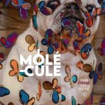 Fab From Toulouse – Molécule
