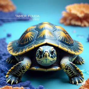 Tamer Fouda – Ecstasy