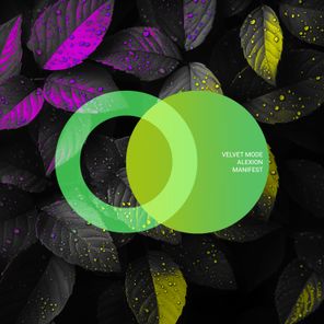 Velvet Mode, Alexion – Manifest