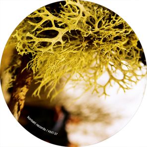Matt Thibideau – Subduction & Shadows