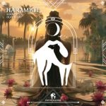 Cafe De Anatolia, Korney (VS) – Harambee