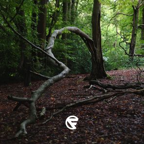 Simple Technique – Broken Record