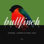 Broken Drum Machine, Vlad Iona – Bullfinch Spring 2025 Compilation