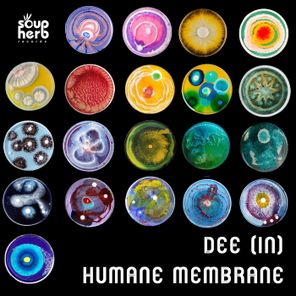 Dee (IN) – Humane Membrane
