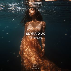 SkyRaid UK – Afterlife