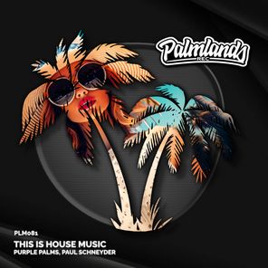 Purple Palms, Paul Schneyder – This Is House Music (Extended Mix)