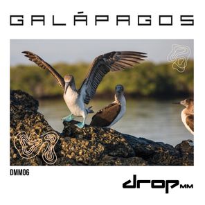 Jaramillo, Alquimista - Galapagos 1 Jaramillo, Alquimista – Galapagos