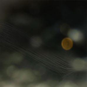 Pat Carroll – Conditions