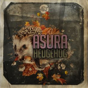 Asura – Hedgehog