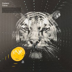 KNIK – Esoteric Feline