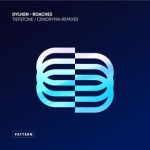 Tiefstone, Dylhen – Roaches – the Remixes