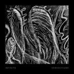 sebaschiume – Infinito