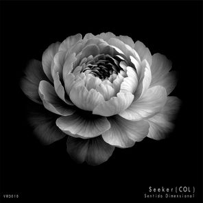 Seeker (COL) – Sentido Dimensional