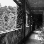 Skaki, Rudy Serieys – Dark Forest