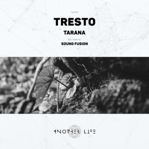 Sound Fusion, TRESTO – Tarana