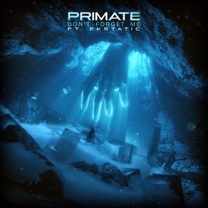 Primate, Ekstatic – Don’t Forget Me