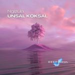 Unsal Koksal, DeepSoulRecords – Ngizula