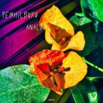 Penhilburg – Analog