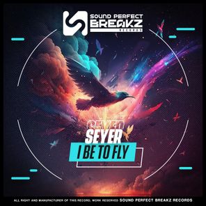 DJ SEYER – I be to fly
