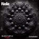 Riolie – Orchestration