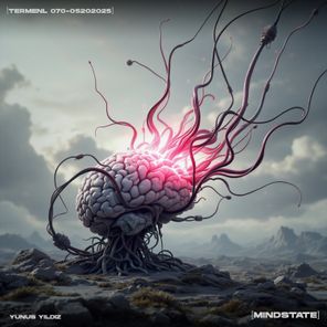 Yunus Yildiz – Mindstate
