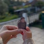 Antonio Bastos – My Little