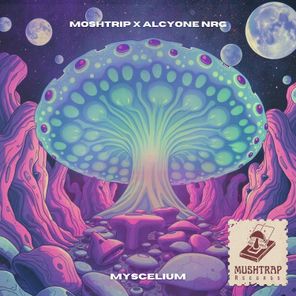 Moshtrip, Alcyon NRG – Myscelium