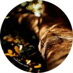 Mike Schommer, Milly James – Leaving the Ground