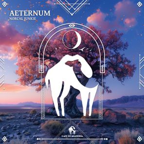 Cafe De Anatolia, Norcal Junkie – Aeternum