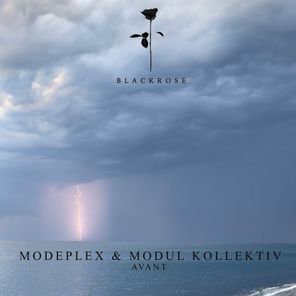 Modul Kollektiv, Modeplex – Avant