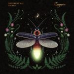 Different Ray – Flicker