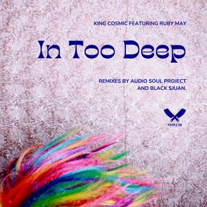 Audio Soul Project, King Cosmic – In Too Deep
