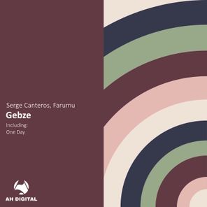 Serge Canteros, Farumu – Gebze