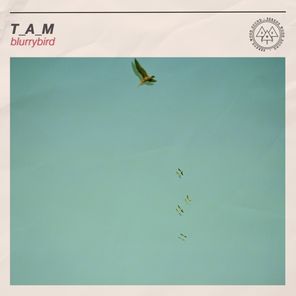 T_A_M - blurrybird 1 T_A_M – blurrybird