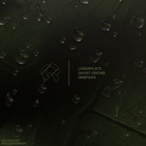 Linear System, Lunarplatz – Ghost Orchid