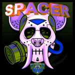 GUERRILLERO – SPACER