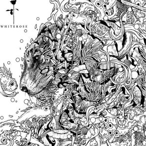 Ten Walls, Boy From Suburbs – Save Me
