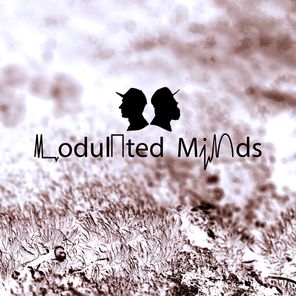 Schulz Audio, Modulated Minds – Take One