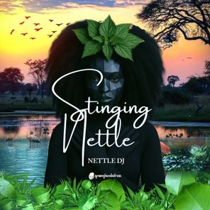 Nettle DJ – Stinging Nettle