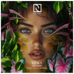 Diego Moreira, Havjers – Soma