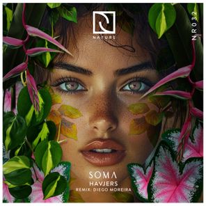 Diego Moreira, Havjers – Soma
