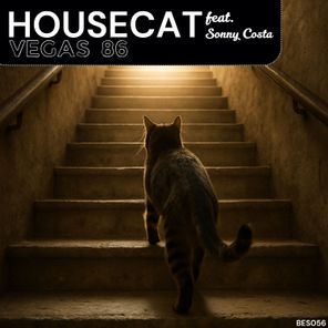 Sonny Costa, VEGAS 86 – Housecat