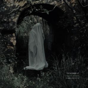 Dani Sbert, Nicko Shuo – Tenebris VI