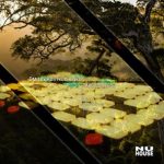 Dmitry Kostyuchenko – Take Control