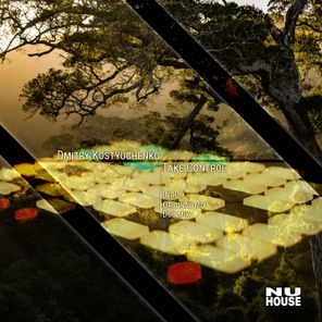 Dmitry Kostyuchenko – Take Control